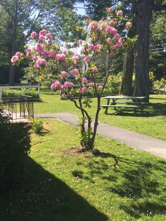 BEAUTIFUL  4 BR  HOME. THE PERFECT LOCATON  MASSIVE BEAUTIFUL GROUNDS HUD APPROVED. 