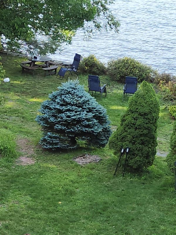 Ador Lago Mansion                *Midwinter Deal *Boats, Kayak *   *Pool   * Sauna    *Jacuzzi