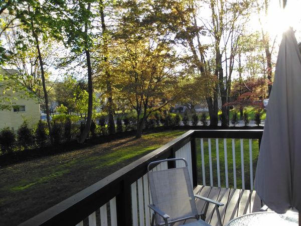 Clean Upscale Private 3 BR Home