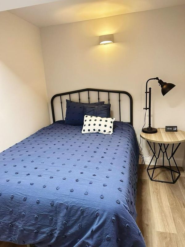 Newly Renovated Short Term Rental in Crown Heights
