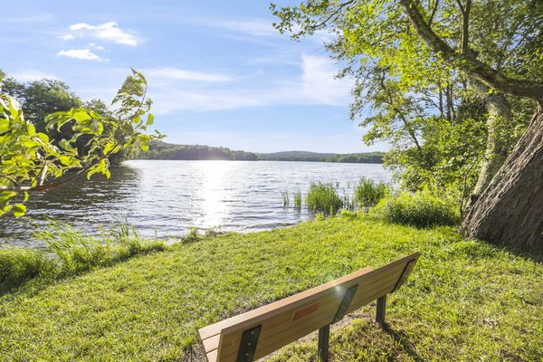 Peaceful Paradise: Dream Home in Woodridge