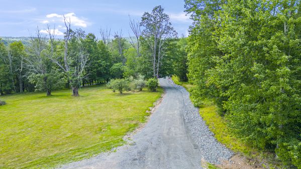 Peaceful Paradise: Dream Home in Woodridge