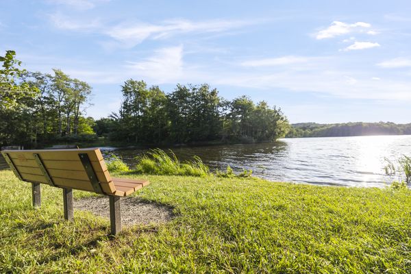 Peaceful Paradise: Dream Home in Woodridge